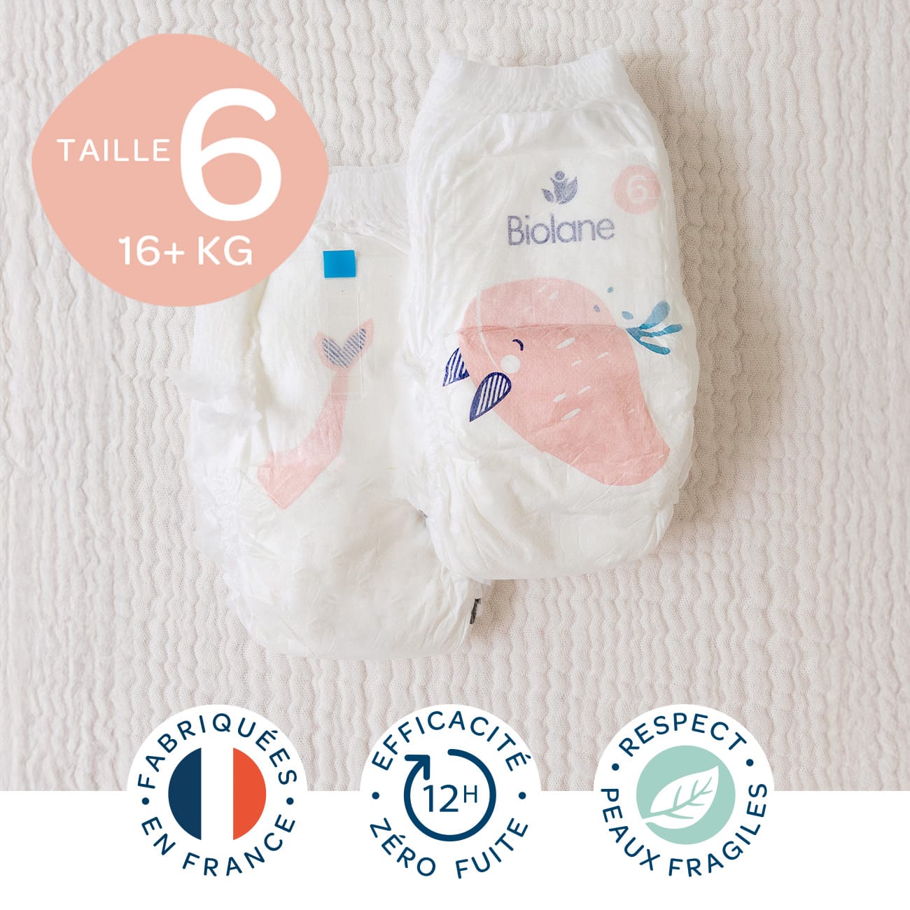 Taille 6